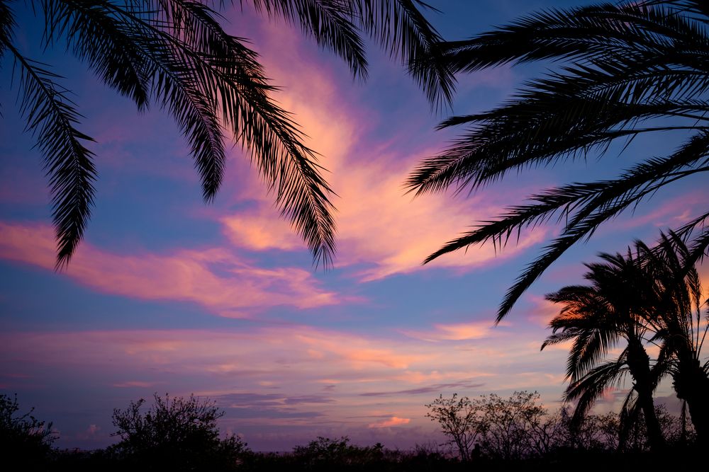 Photograph by Nadia Pacheco