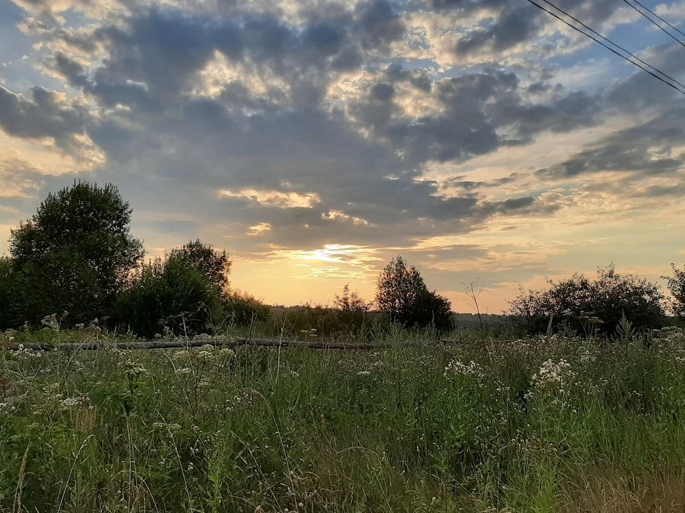 Photograph by Табачкова Татьяна