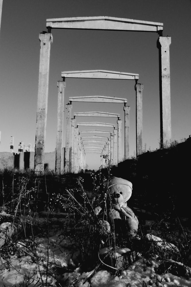 Photograph by Ирина