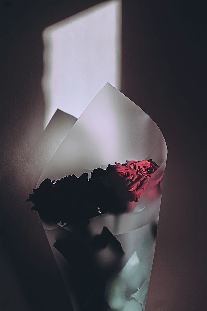 Photograph by Елена Кудейкина