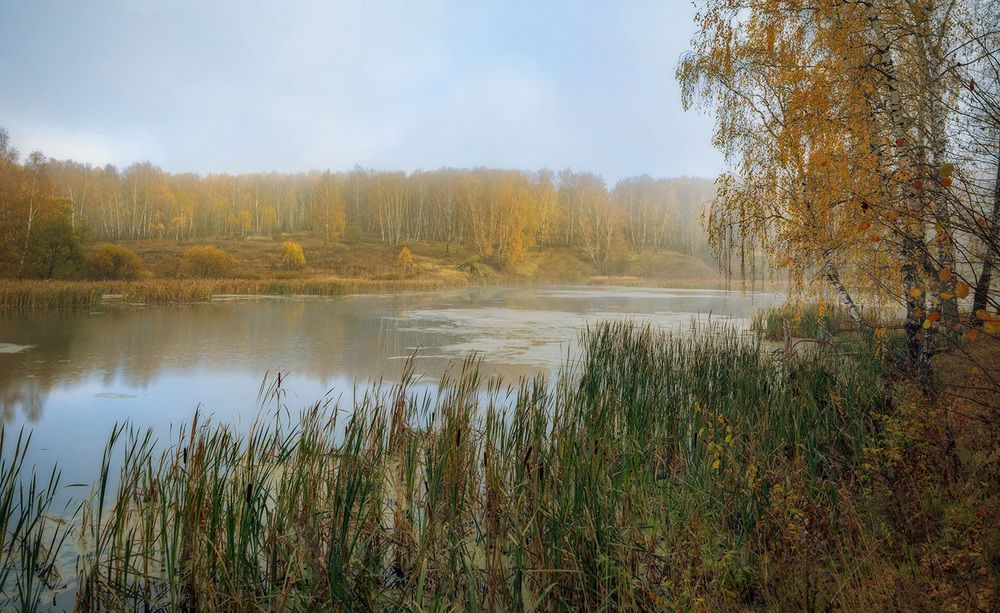 Фотография автора Анатолий Зверев