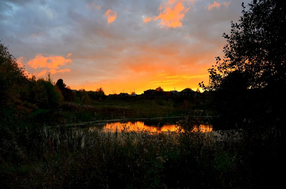 Photograph by Галина Карманова