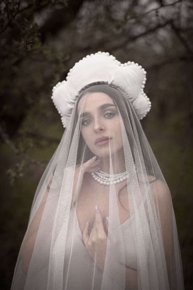 Modern Swan princess