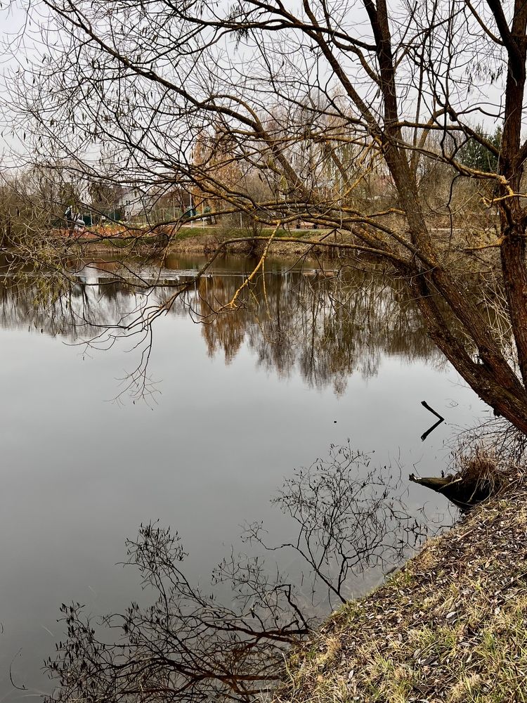 Photograph by Захарова Елена