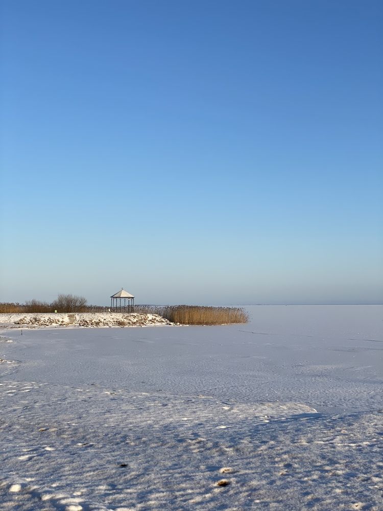 Photograph by Alena Vaganova