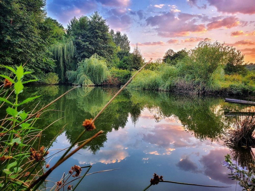 Photograph by Ульяна Митрофанова