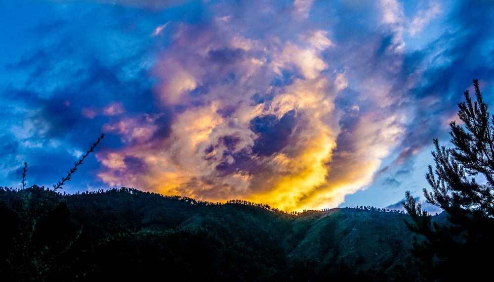 Photograph by Ольга Мурашева