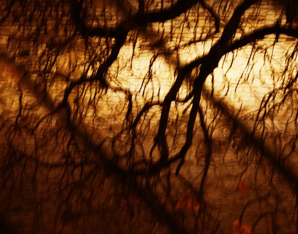 Photograph by Igor Glazistov