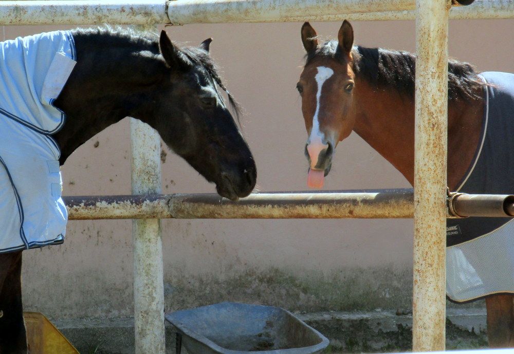 Photograph by Татьяна Смирнова