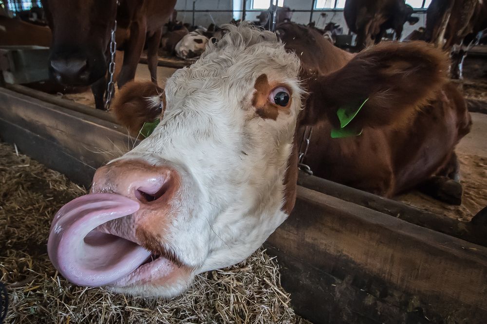 Photograph by Денис Винокуров