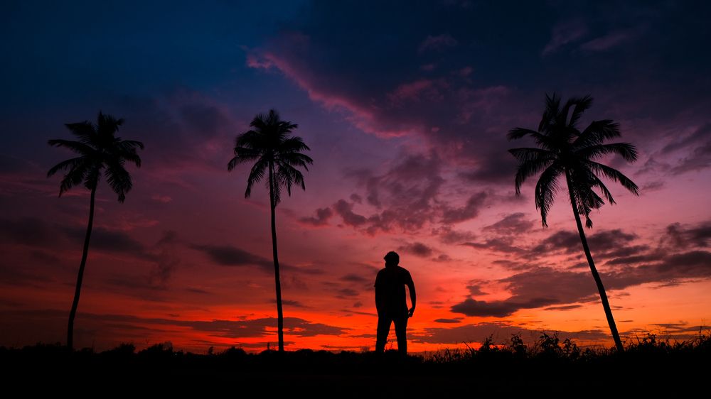 Photograph by Rohan Fernandes