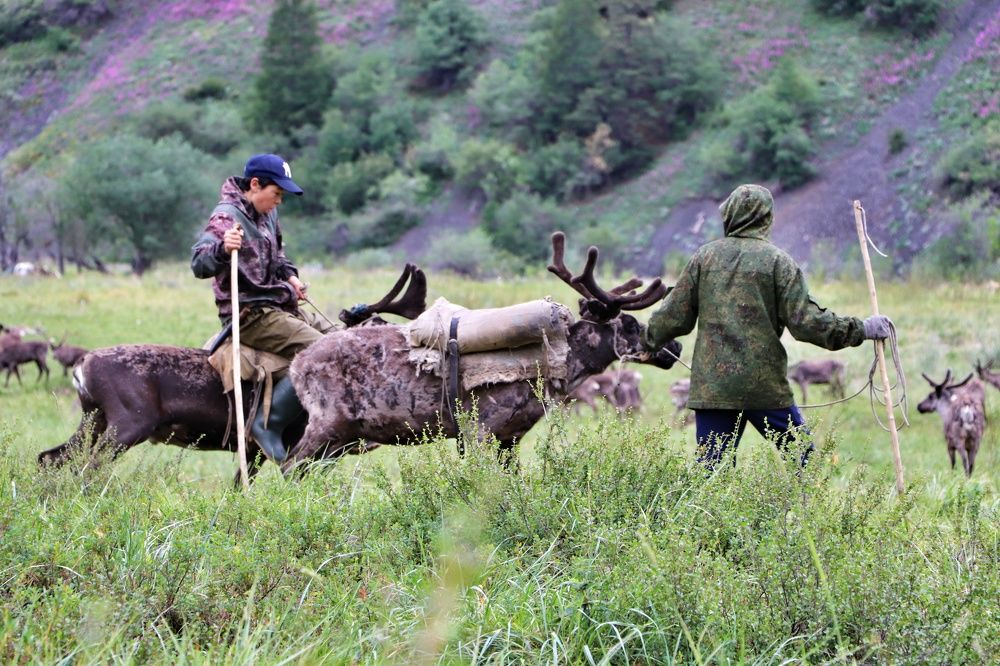 Photograph by Римма Соловьёва