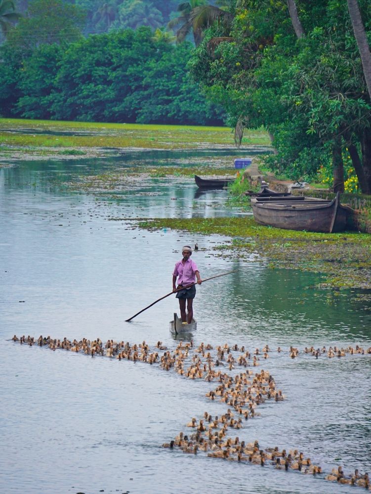 Фотография автора Pavitra Shettigar