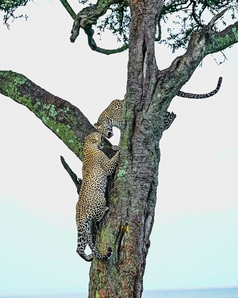 A mother and daughter's bond