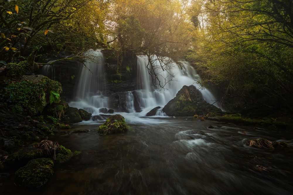 Photograph by Damian Varela