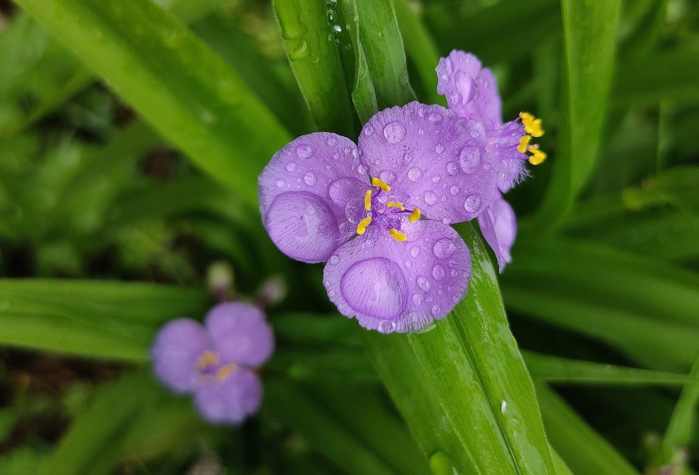 Photograph by Юлия Еганова