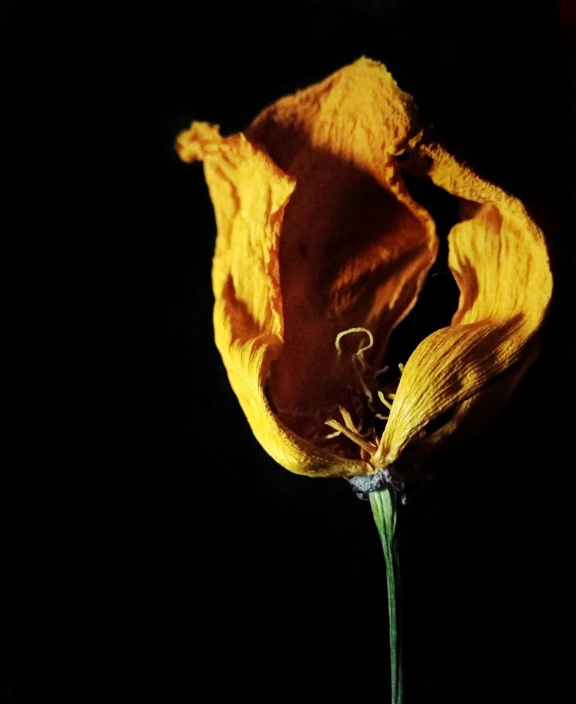 Photograph by Татьяна Чухина