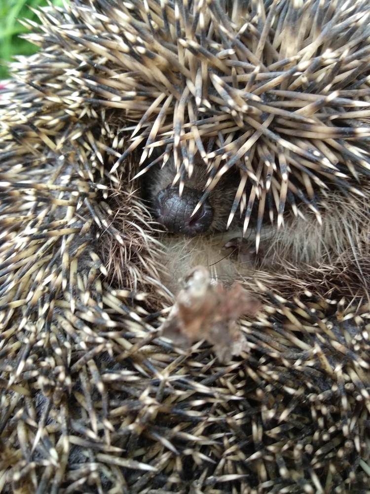 Photograph by Татьяна Чухина