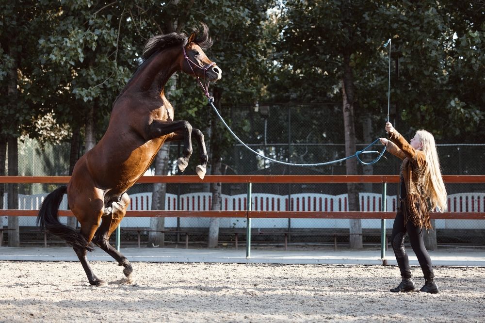 Photograph by Шевалье Татьяна