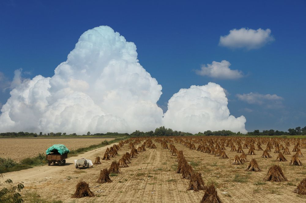 Photograph by Yakup Temel