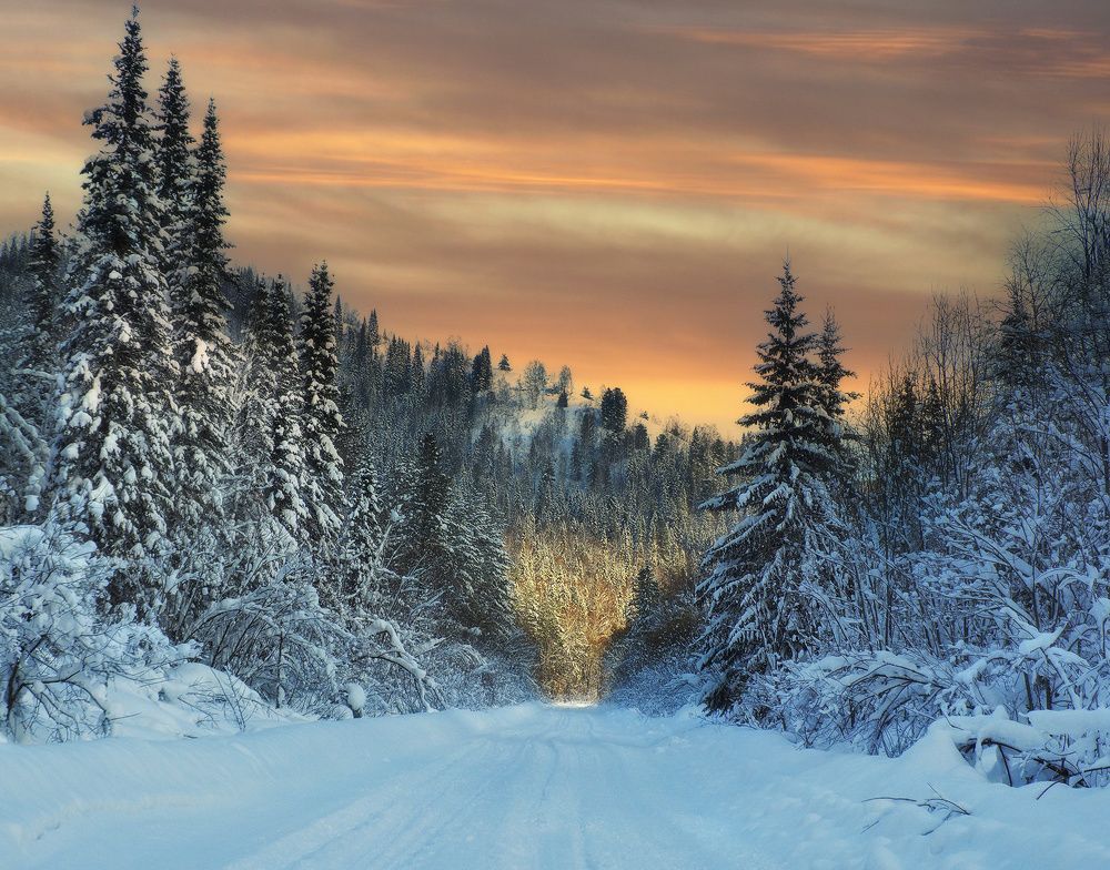 Photograph by Галина Хвостенко