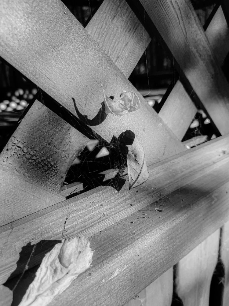 Photograph by Христина Сергейчик