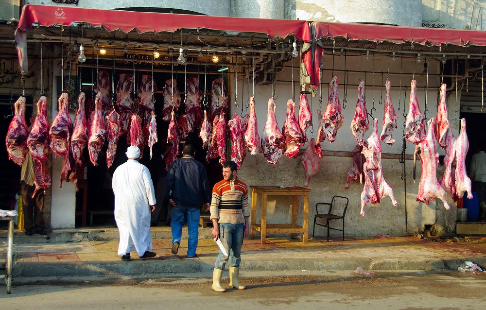 Фотография автора Mehmet Gokyigit