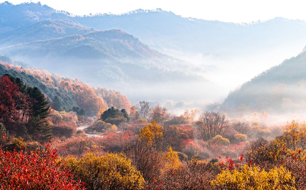 Photograph by Myunggyu Bae