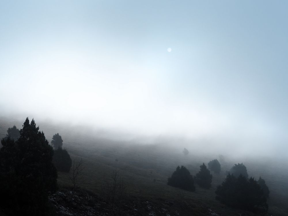 Photograph by Alexandra German