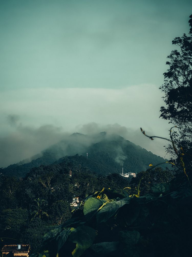 Photograph by Ashiq P F Mohammed