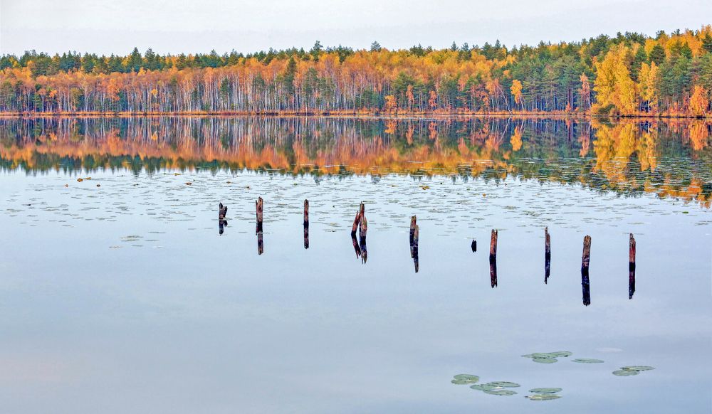 Фотография автора Александр Сальников