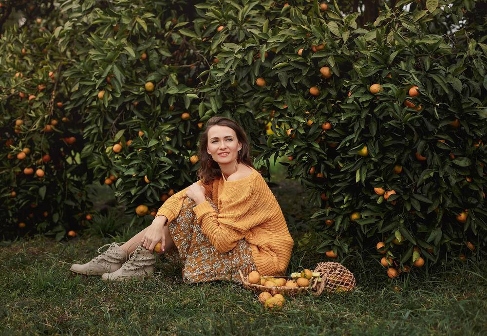 Сезон мандаринов