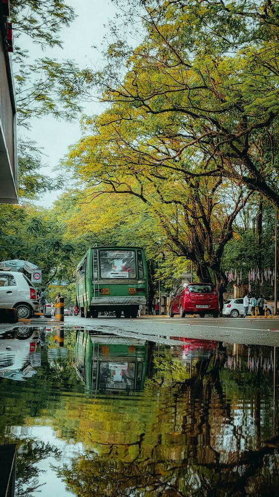 Photograph by Ashiq P F Mohammed