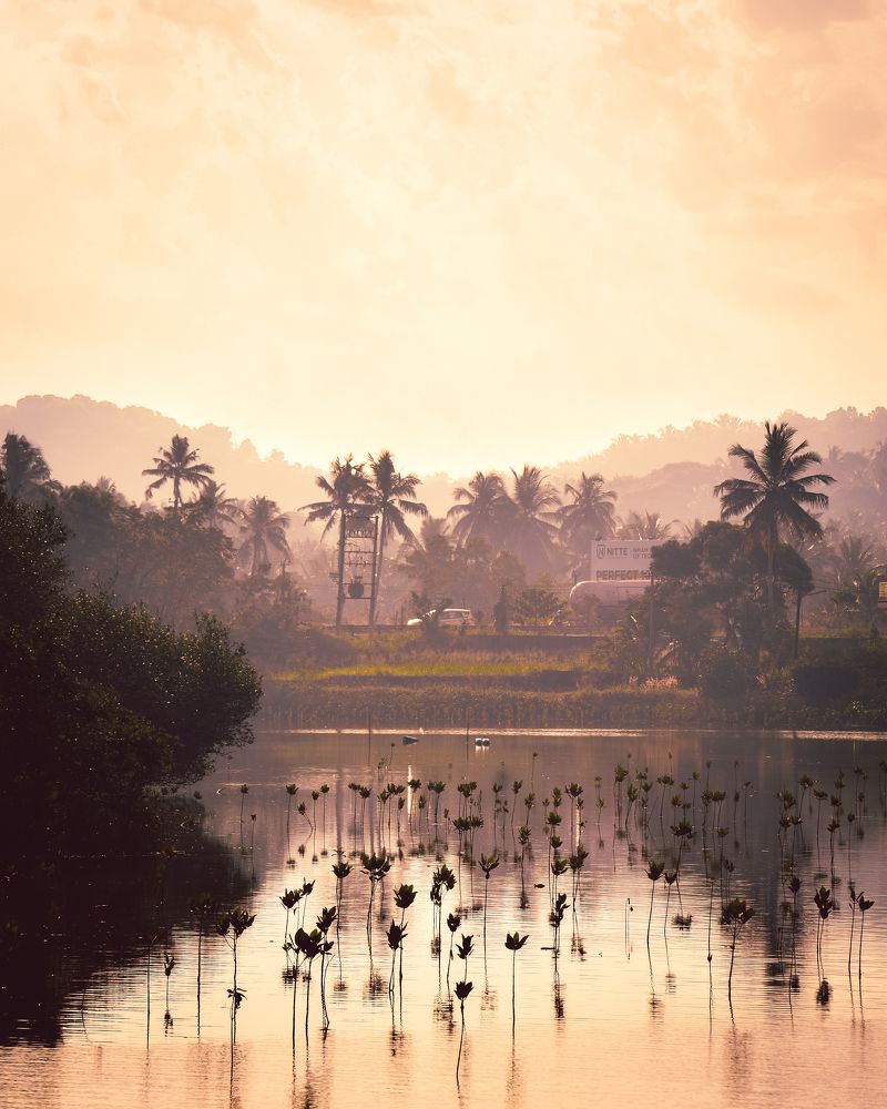 Photograph by Ashiq P F Mohammed