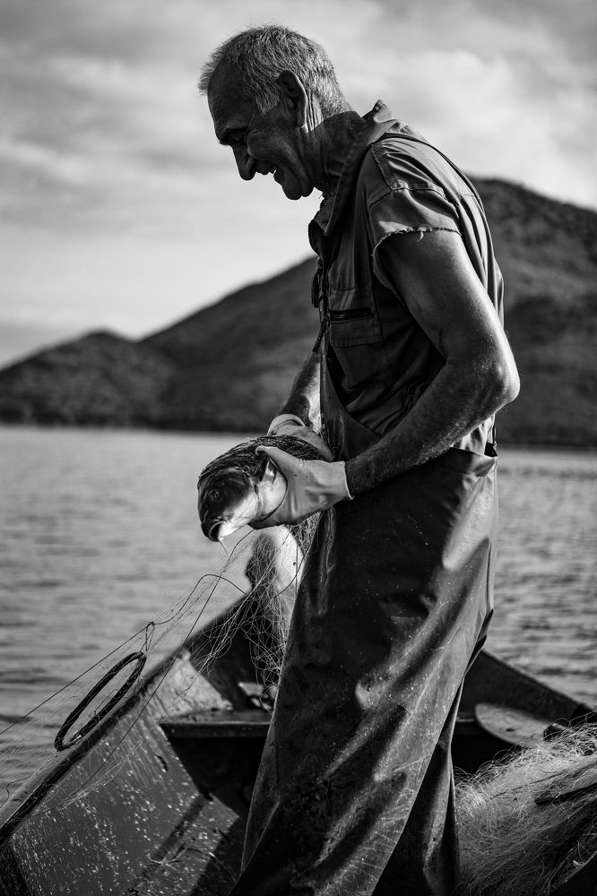Фотография автора Александр Головин