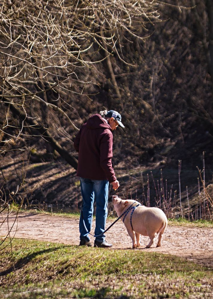 Photograph by Сергей Басов