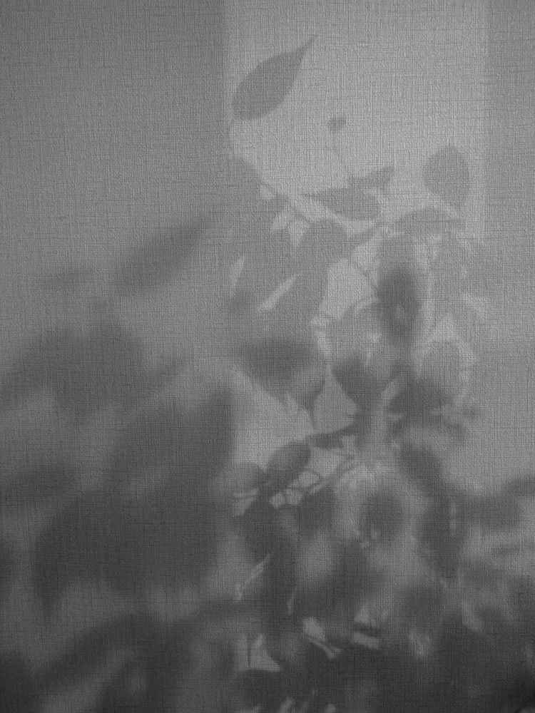 Photograph by Оксана Бурцева