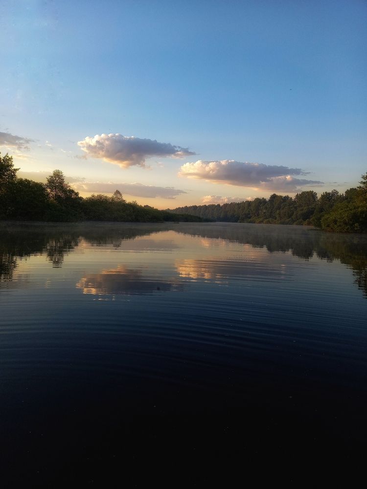 Photograph by Svetlana Yurasova