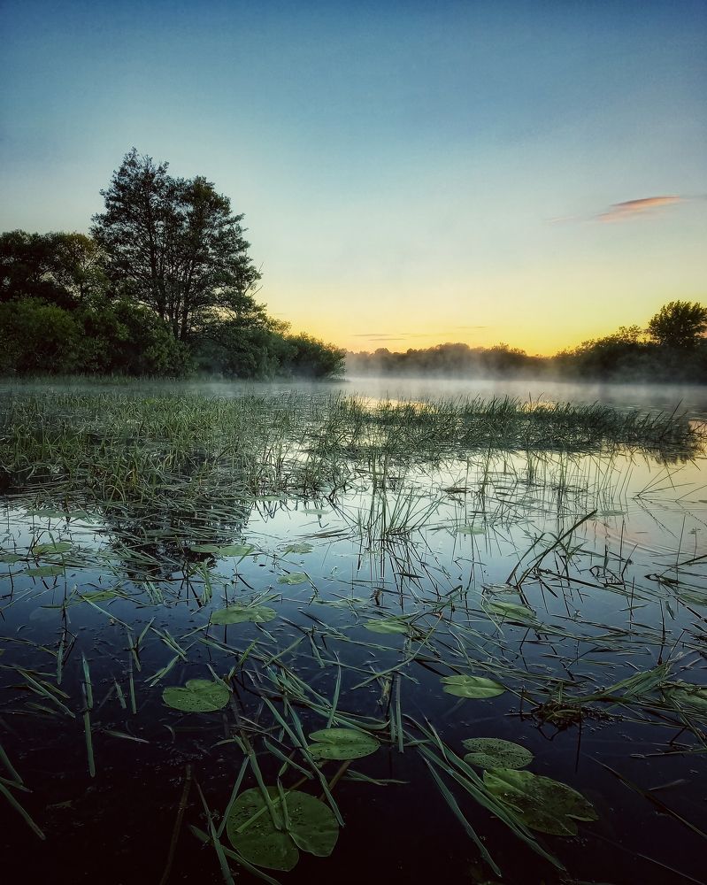 Photograph by Svetlana Yurasova