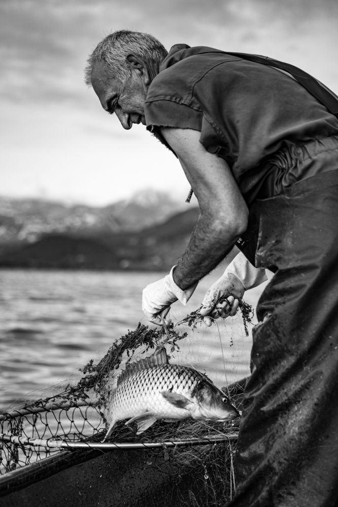 Фотография автора Александр Головин