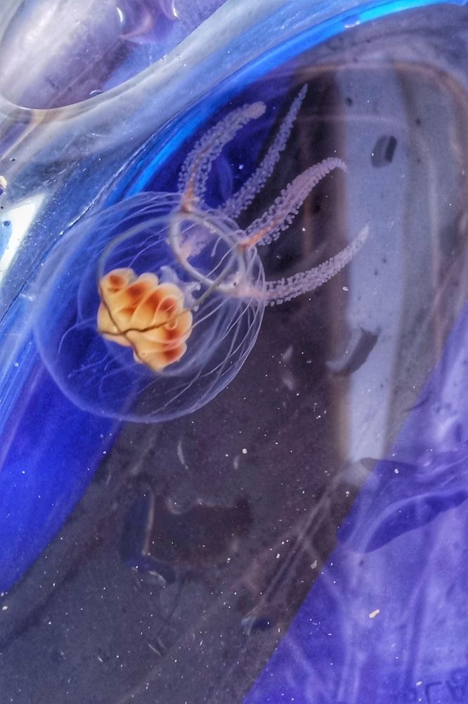 Photograph by Екатерина