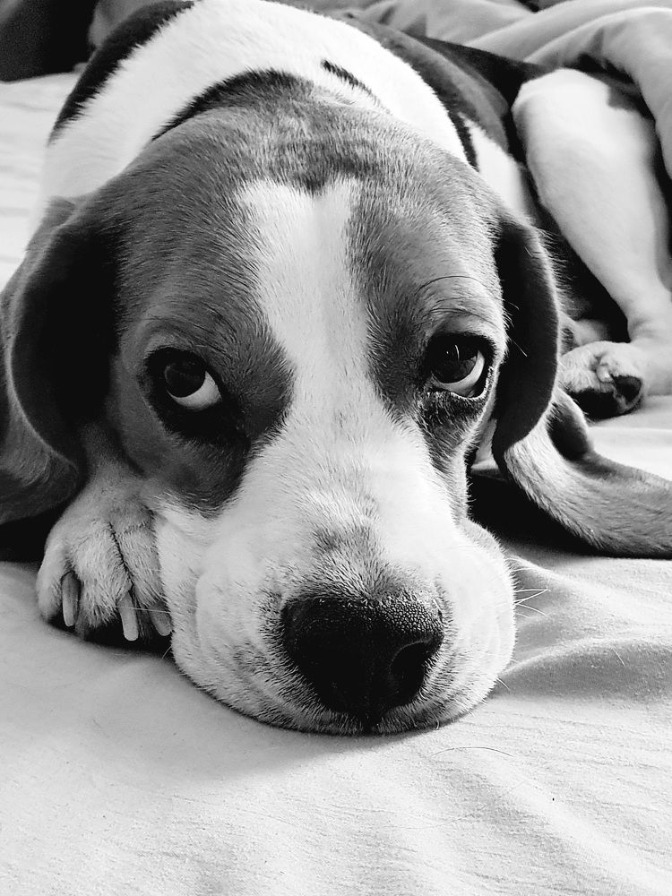 Мобильная фотография:черно-белое