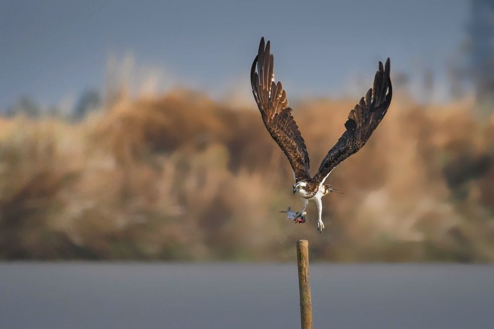 Photograph by DEBJYOTI MONDAL