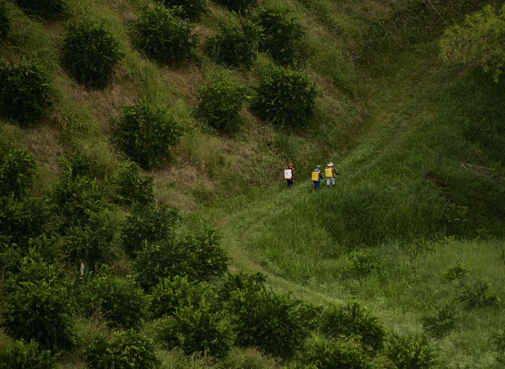 Photograph by Luis Manuel Jiménez Tabares