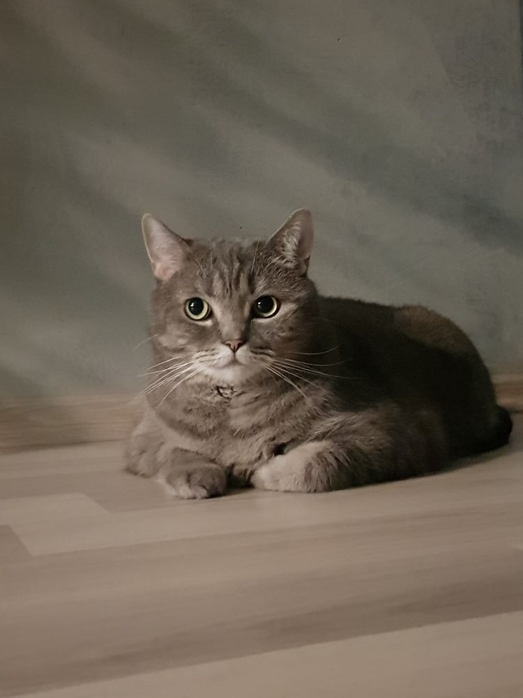 Photograph by MARGARITA KERRE