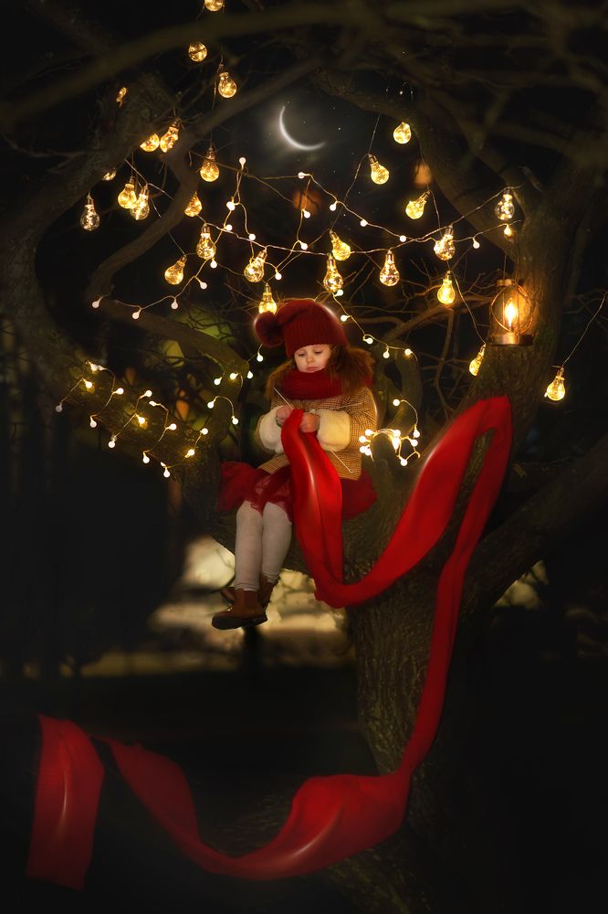 Фотография автора Елена Петрова