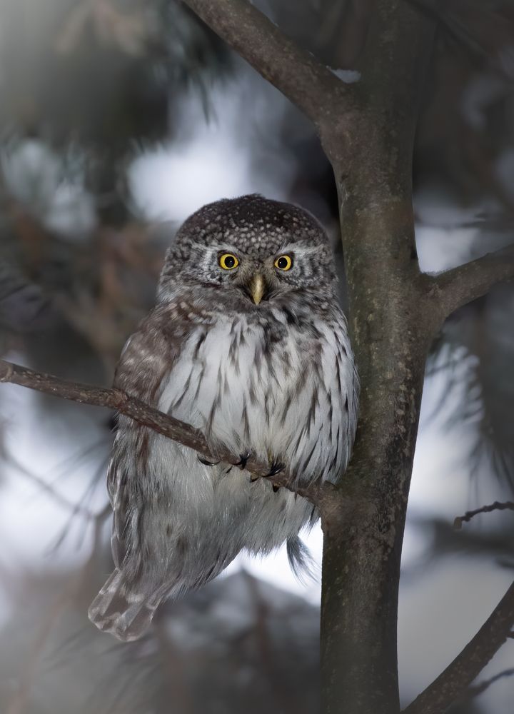 Photograph by Дарья