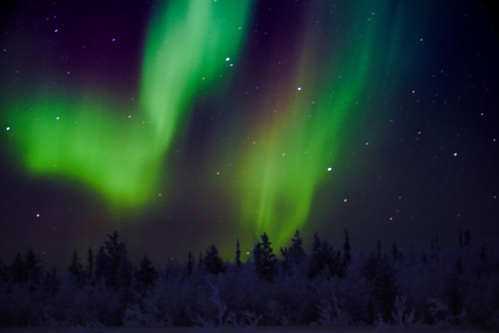 Photograph by Елизавета Чеснокова