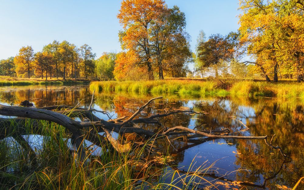 Photograph by Сергей Дишук