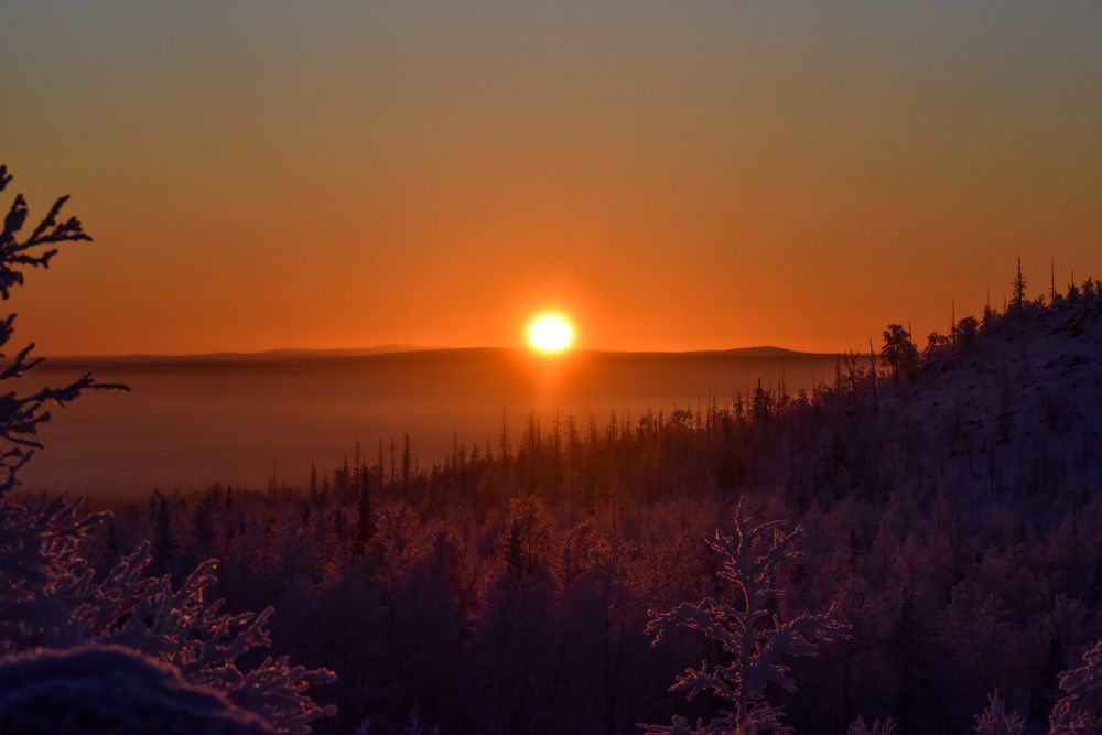 Photograph by Елизавета Чеснокова